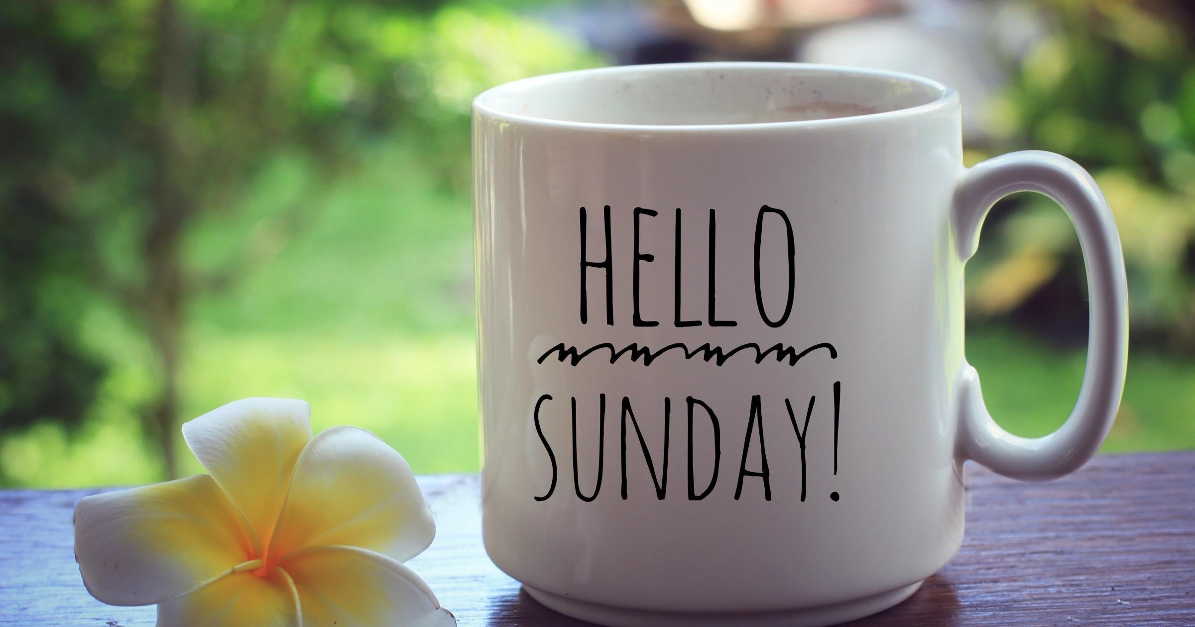 The 15 Minute Sunday Reset That Keeps a Busy Household on Track